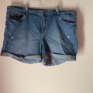 Lane Bryant Classic Blue Jean Shorts